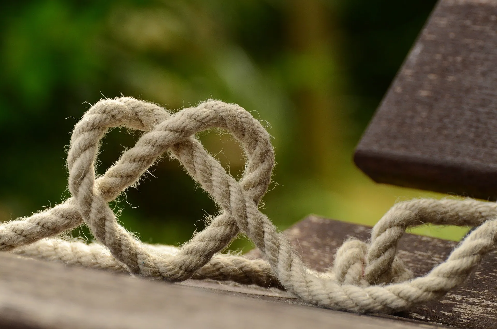 Two loops of rope intertwined on a wooden surface.