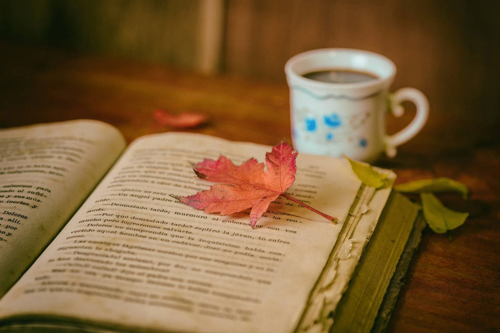 Un libro abierto con una hoja de otoño sobre sus páginas y una taza al fondo.